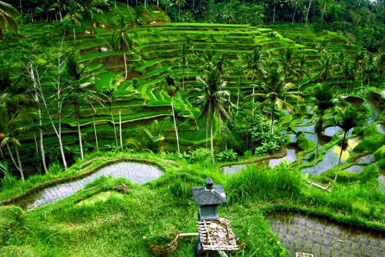 Bali cool places guide