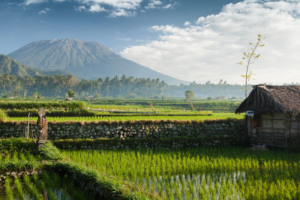 Read more about the article How long to vacation in Bali