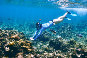 Read more about the article A guide to snorkeling and scuba diving in Bali