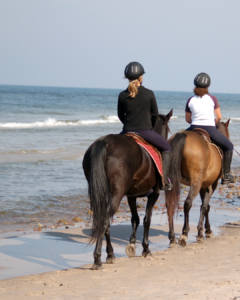 Read more about the article What are the best horse riding tours in Bali?