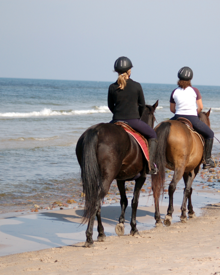 What are the best horse riding tours in Bali?