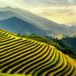 What are the best rice terraces to visit in Bali?