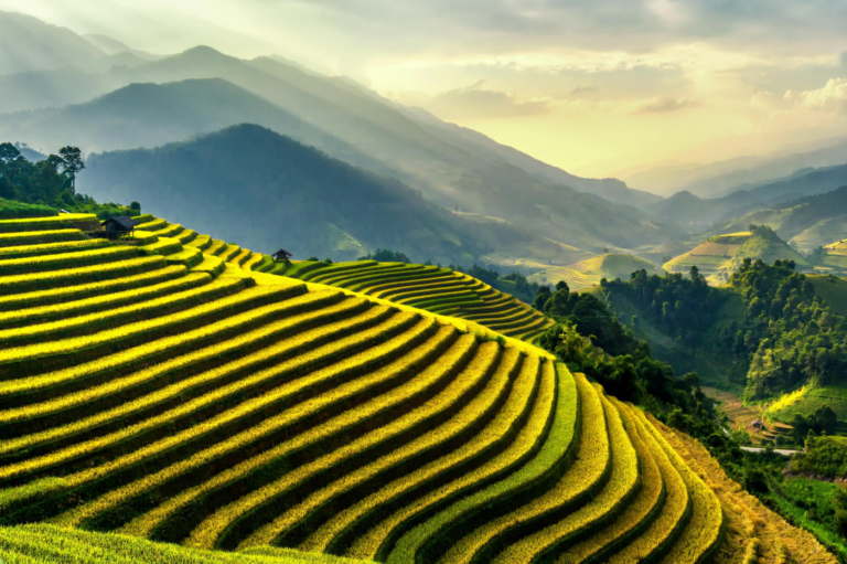 What are the best rice terraces to visit in Bali?