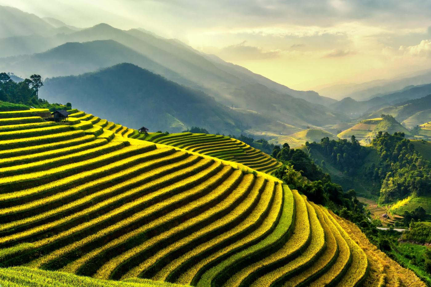 Read more about the article What are the best rice terraces to visit in Bali?