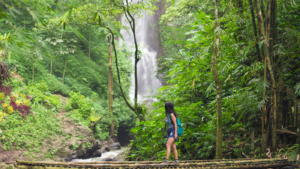 Read more about the article What are the best natural parks in Bali?