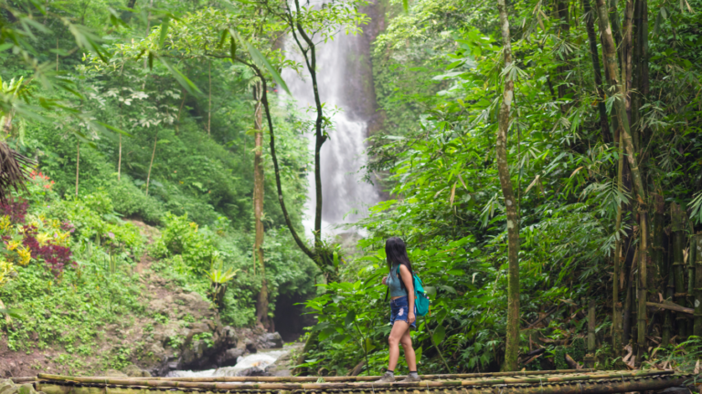 What are the best natural parks in Bali?