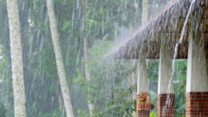 Read more about the article When is rainy season in Bali